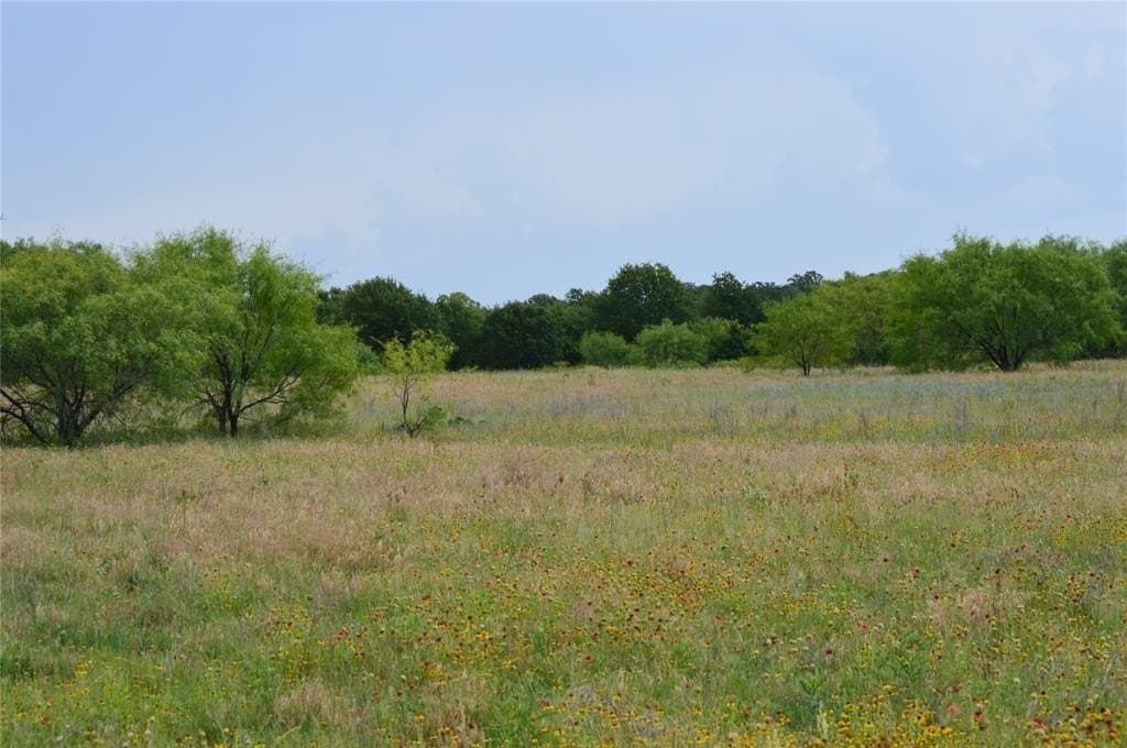 92 acres in Eastland County - photo 12