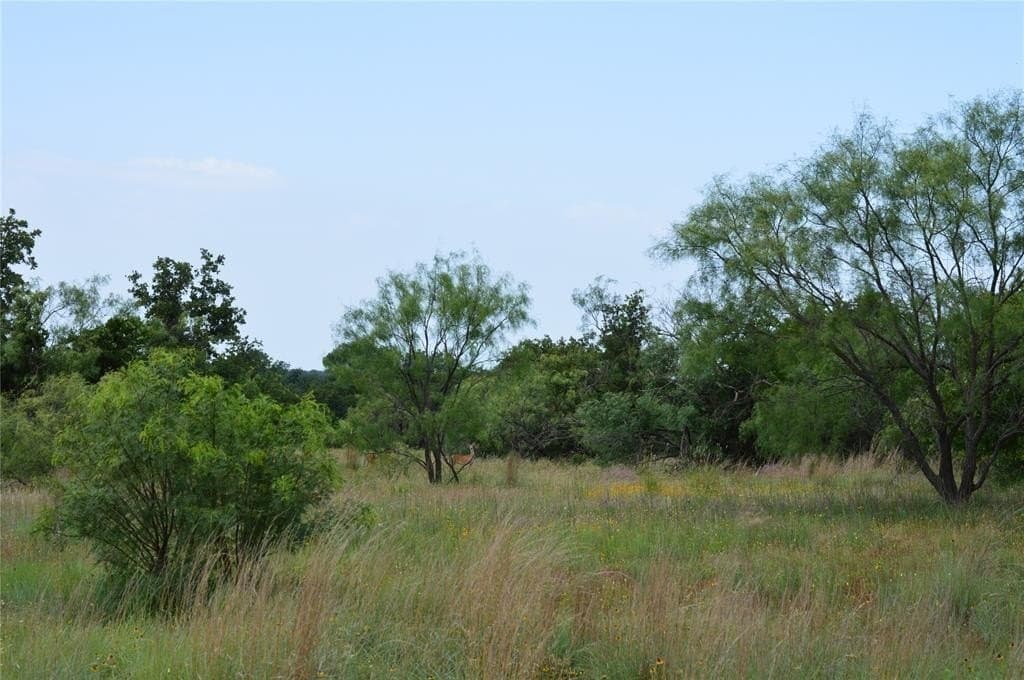 92 acres in Eastland County - photo 26