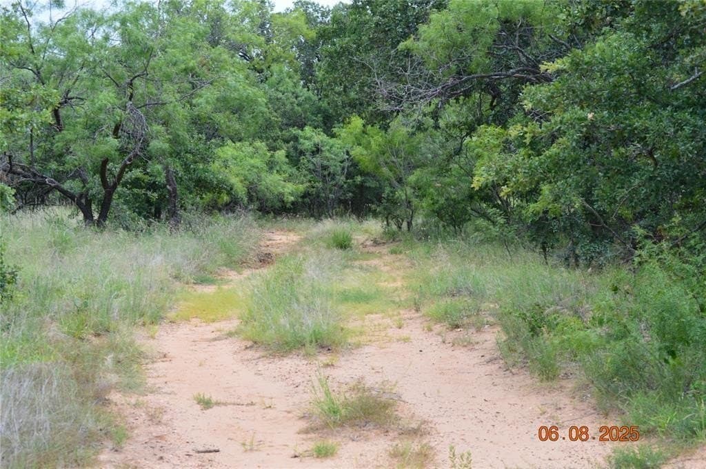 92 acres in Eastland County - photo 2