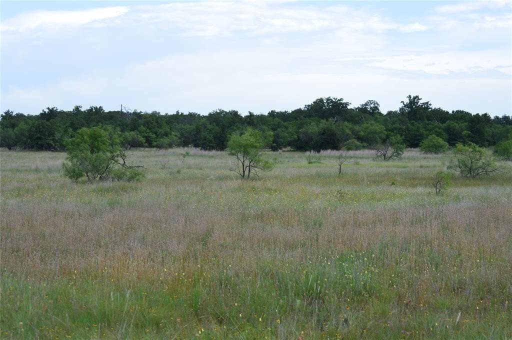 92 acres in Eastland County - photo 15