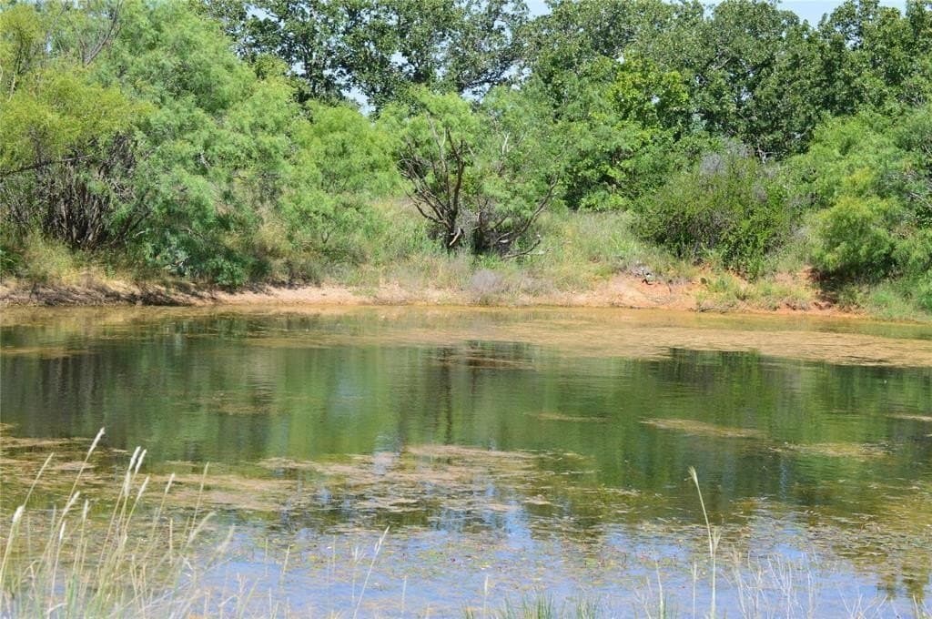 92 acres in Eastland County - photo 6