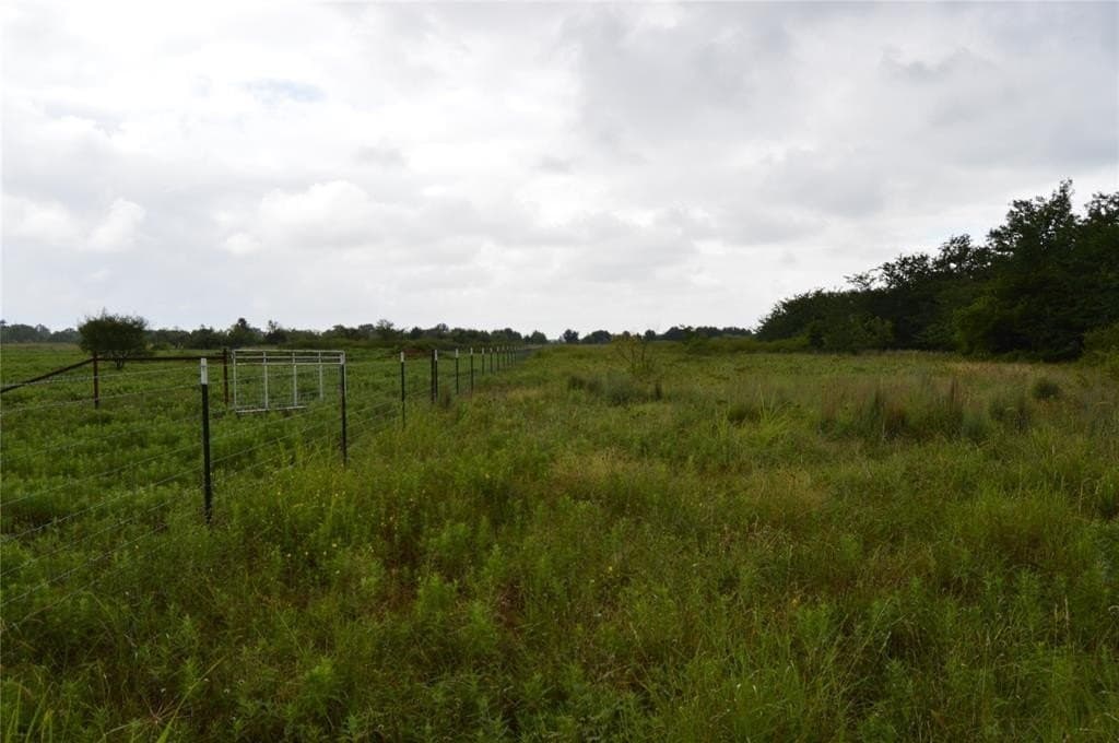 92 acres in Eastland County - photo 9
