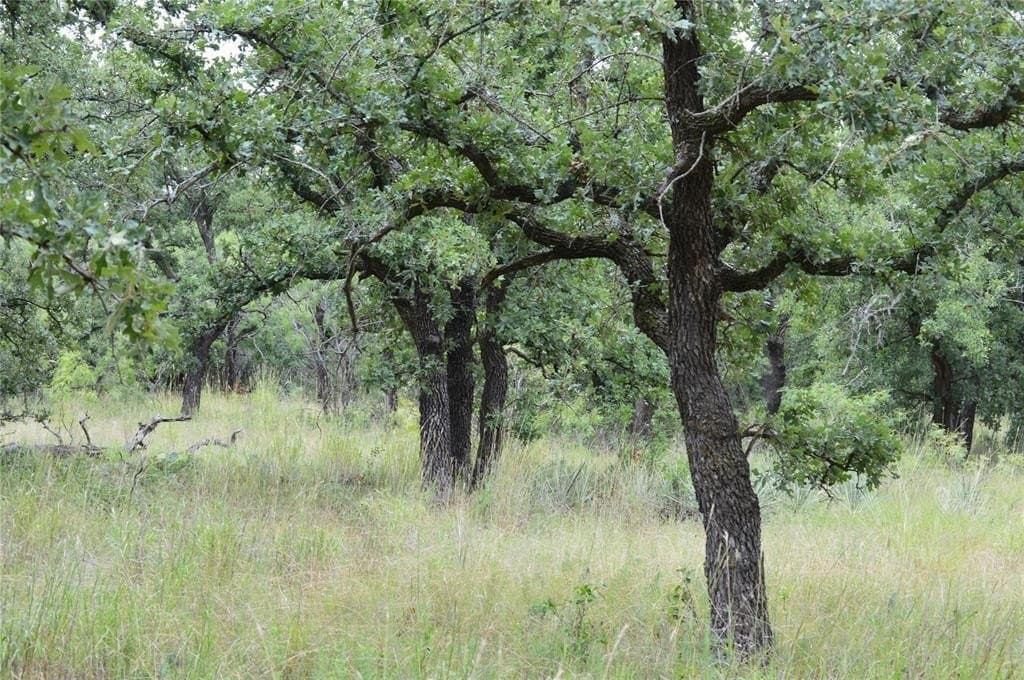 92 acres in Eastland County - photo 4