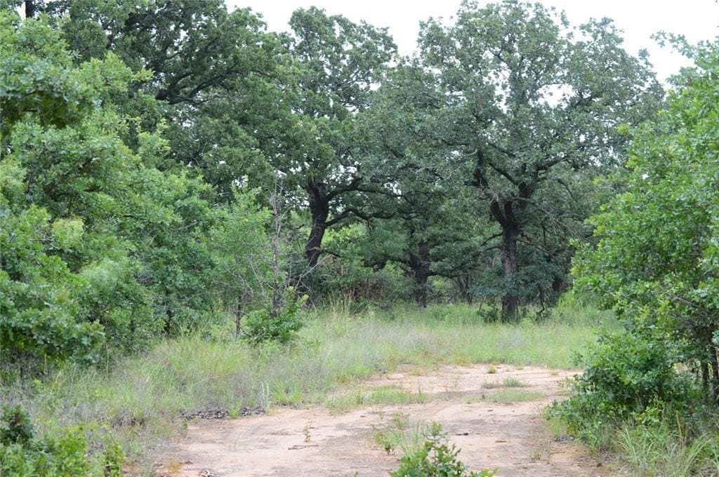 92 acres in Eastland County - photo 29