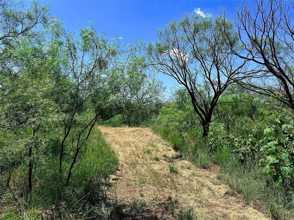 34.45 acres in Jones County - photo 11