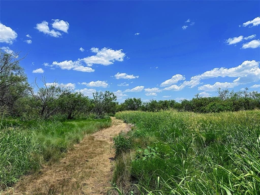 34.45 acres in Jones County - photo 10