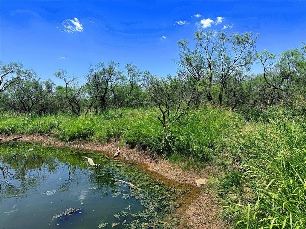 34.45 acres in Jones County - photo 3