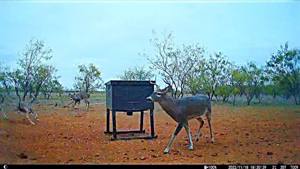 34.45 acres in Jones County - photo 25