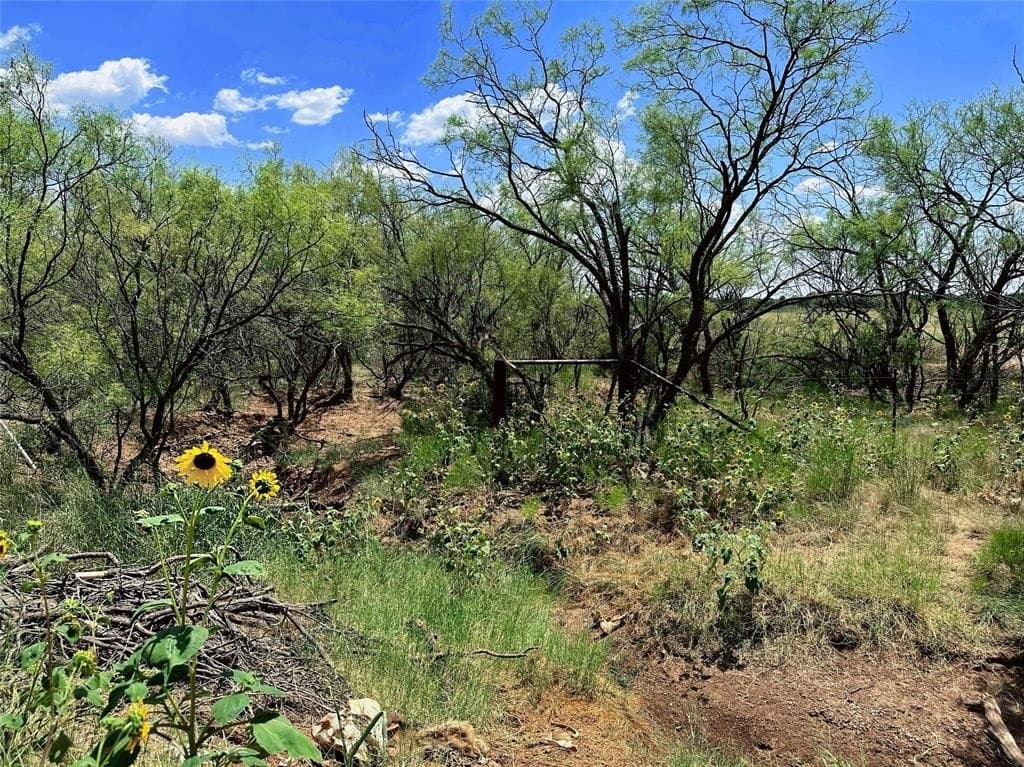 34.45 acres in Jones County - photo 15