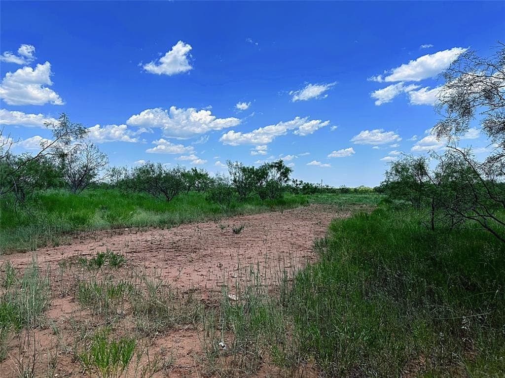 34.45 acres in Jones County - photo 33