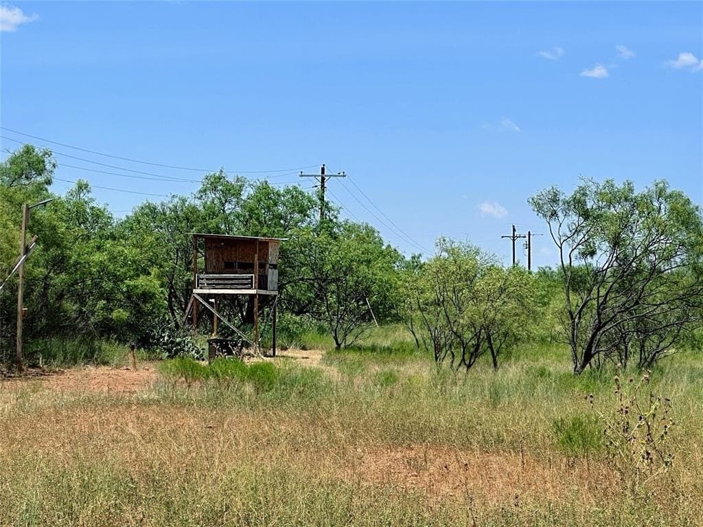34.45 acres in Jones County - photo 14