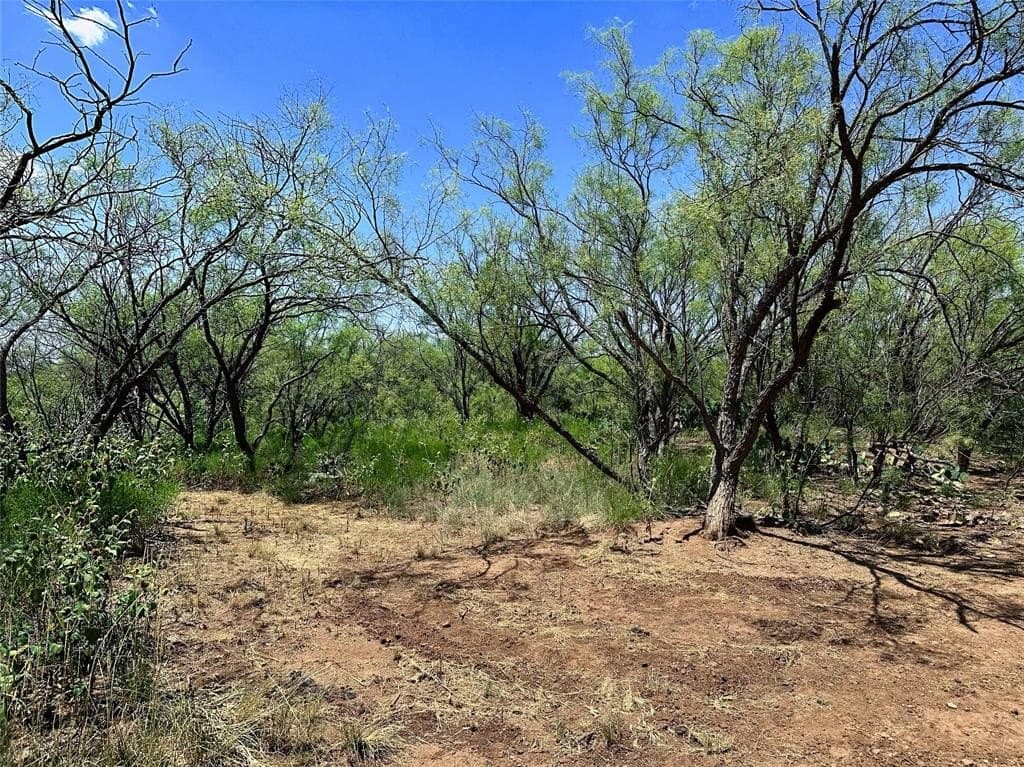34.45 acres in Jones County - photo 12