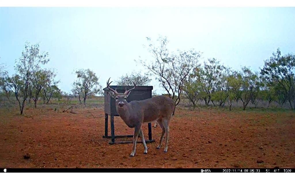 34.45 acres in Jones County - photo 19