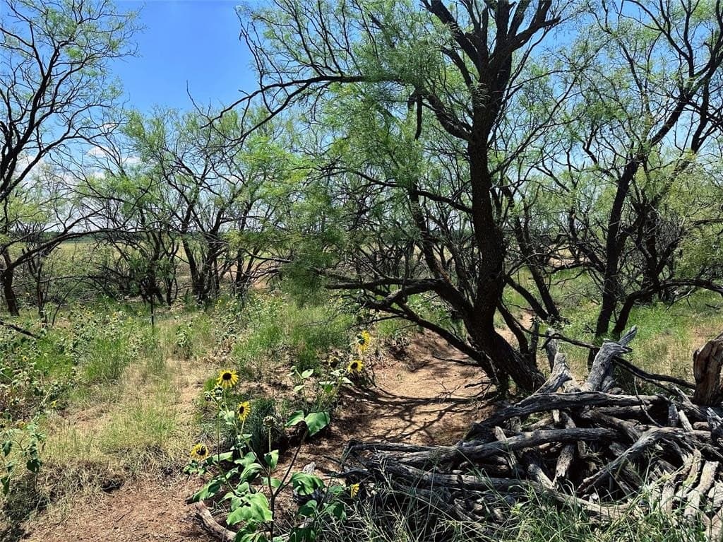 34.45 acres in Jones County - photo 17