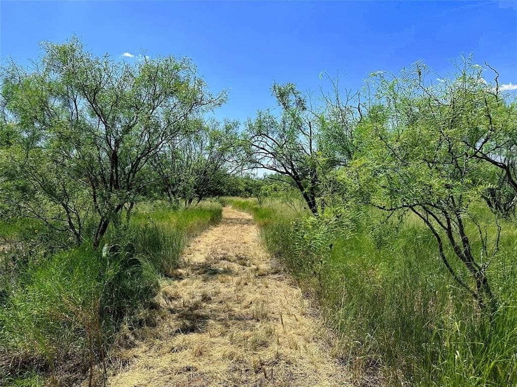 34.45 acres in Jones County - photo 30