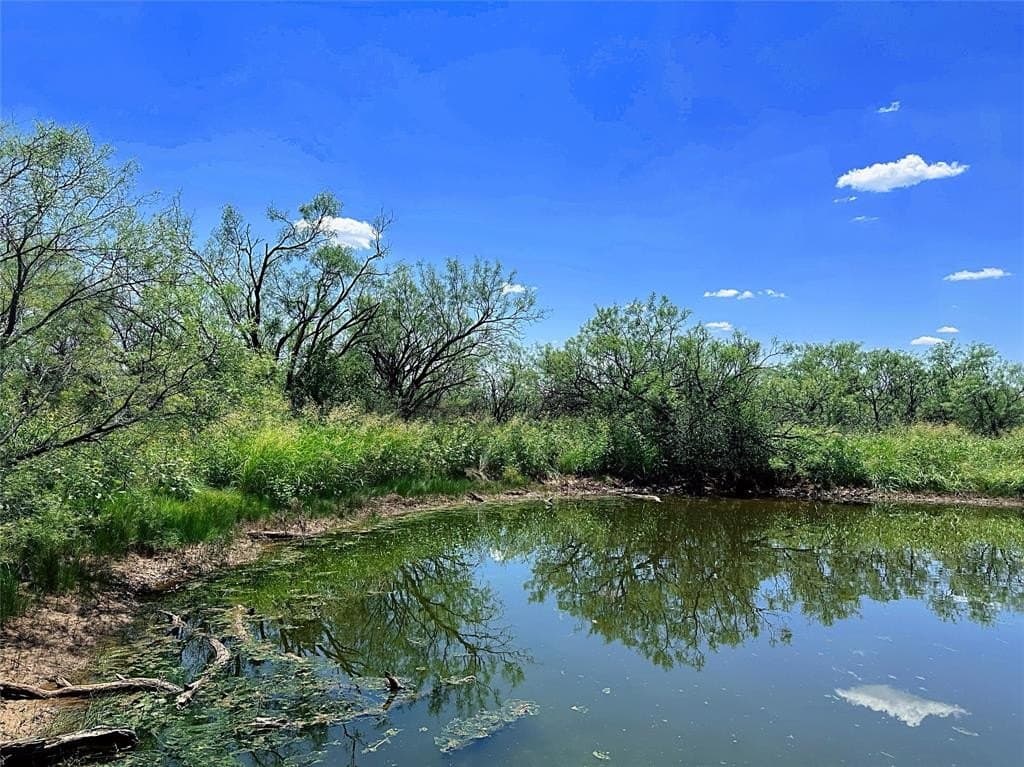 34.45 acres in Jones County - photo 4