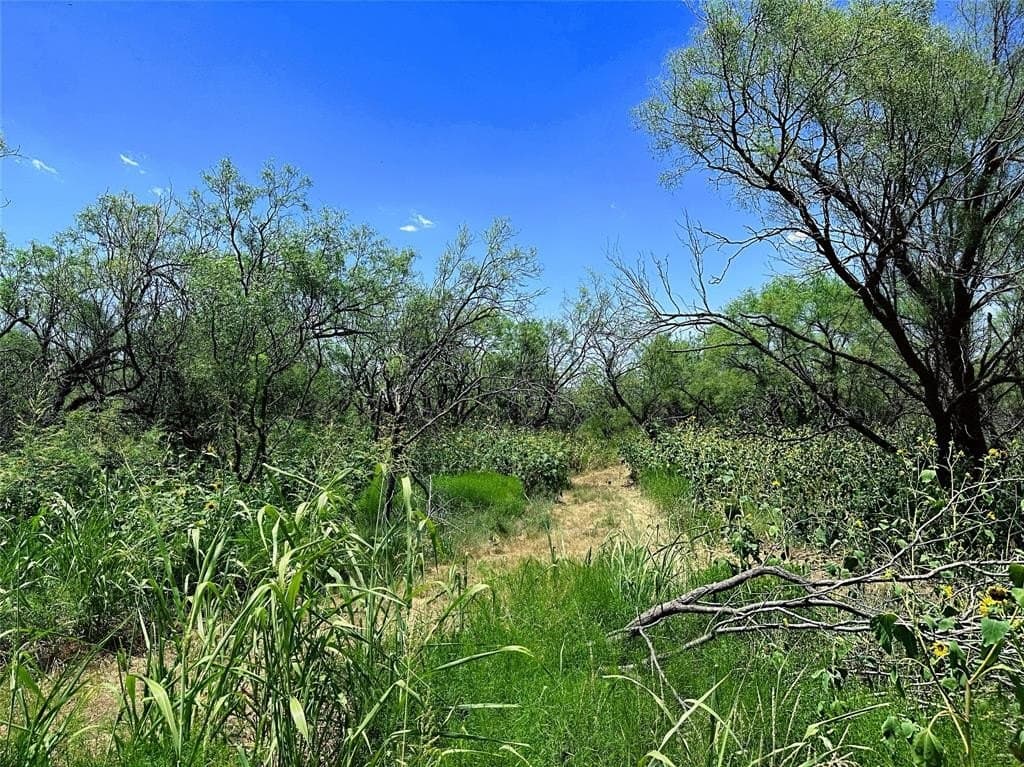 34.45 acres in Jones County - photo 8