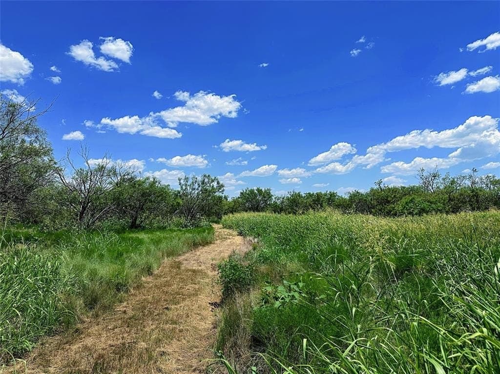 34.45 acres in Jones County - photo 7