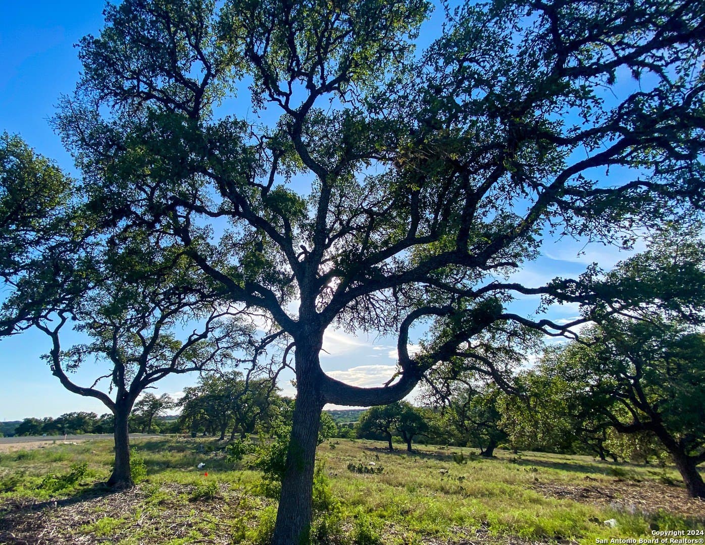 5.4 acres in Gillespie County - photo 3