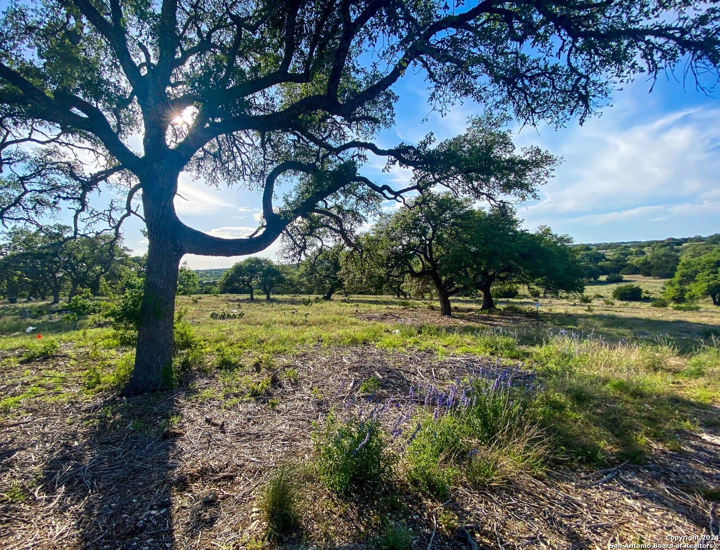 5.4 acres in Gillespie County - photo 4