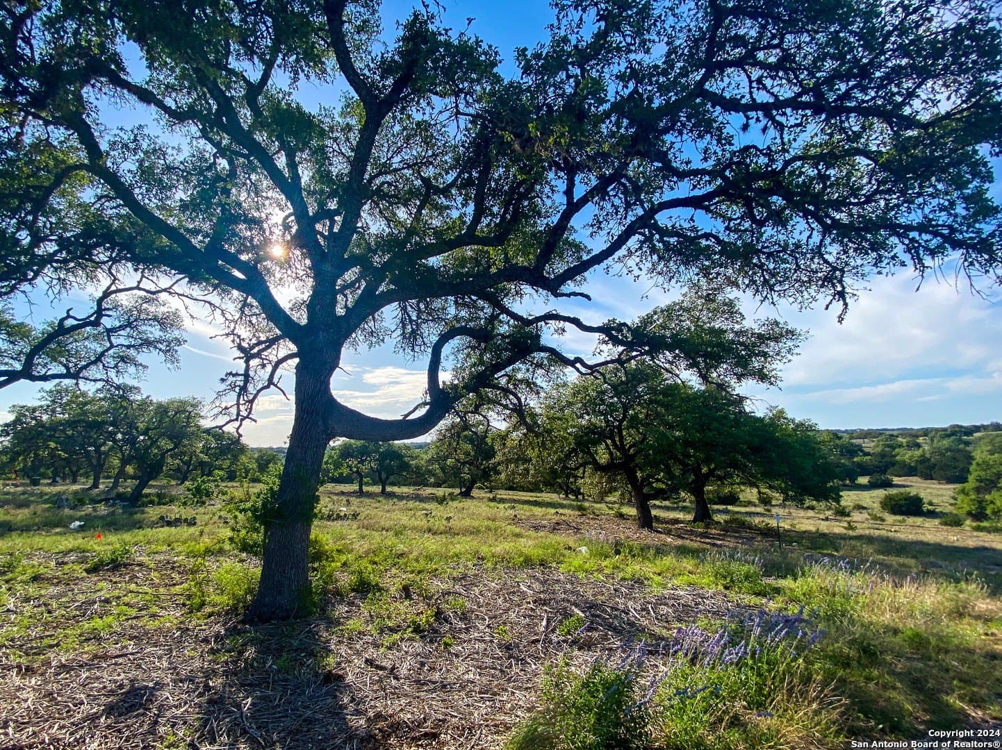 5.4 acres in Gillespie County - photo 2