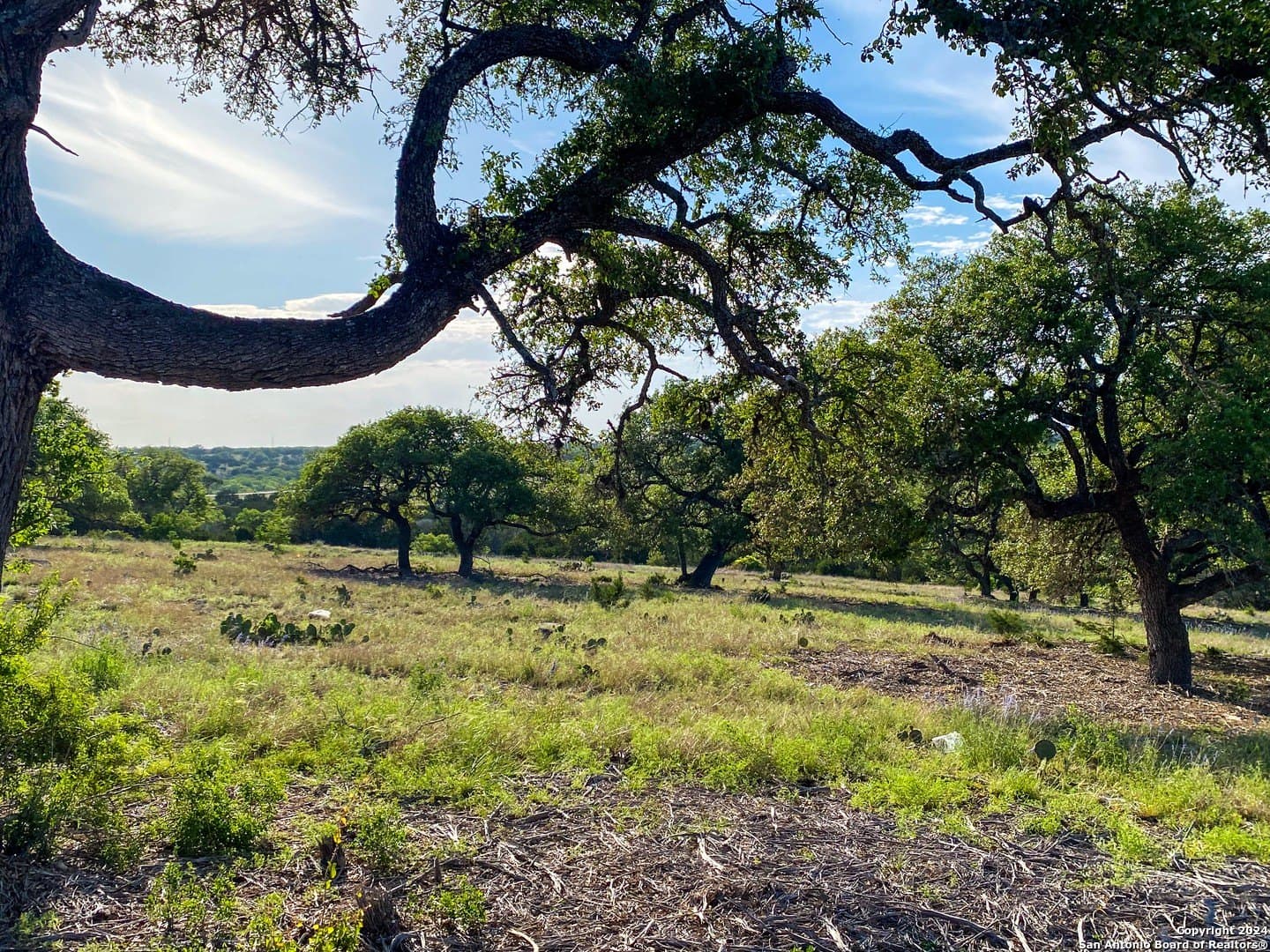5.4 acres in Gillespie County - photo 5