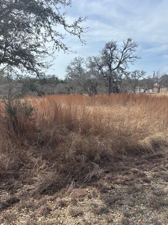 7.26 acres in Bell County - photo 5