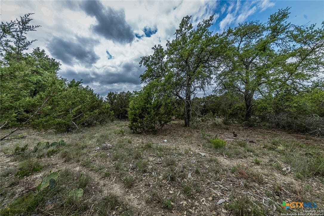 1 acres in Comal County - photo 6