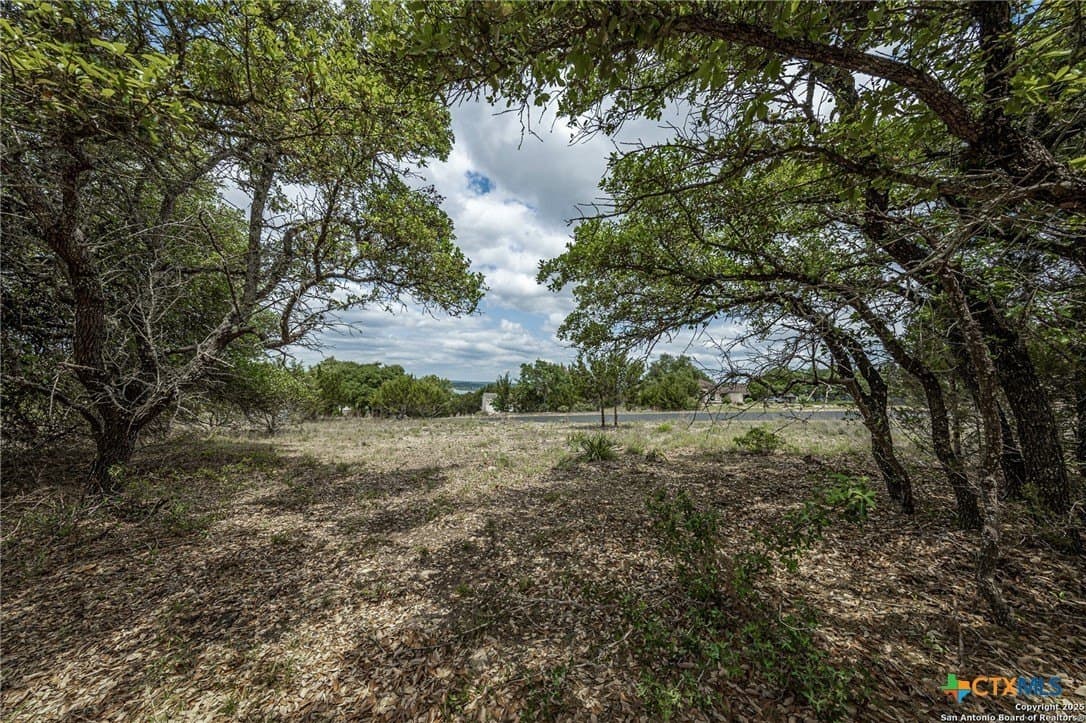 1 acres in Comal County - photo 5