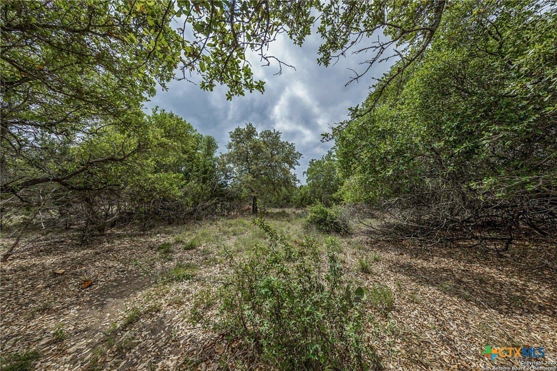 1 acres in Comal County - photo 4