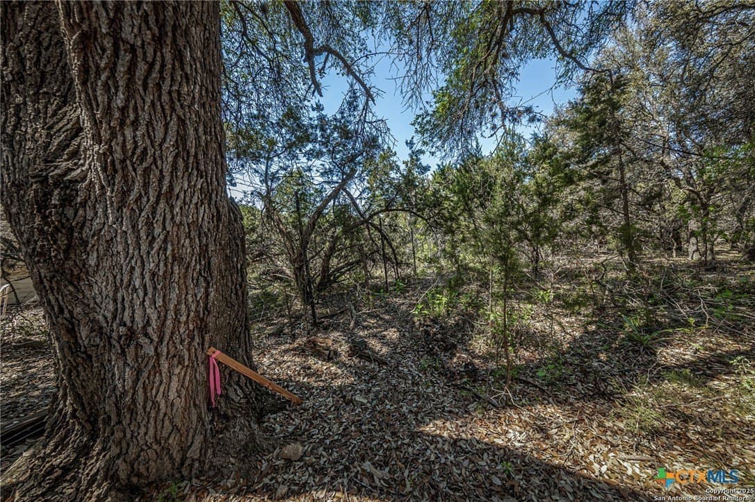 1 acres in Comal County - photo 13