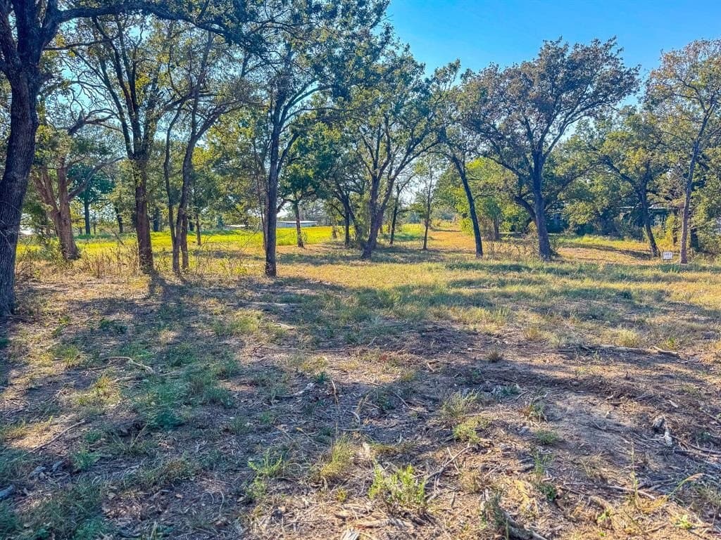 1.21 acres in Navarro County - photo 12