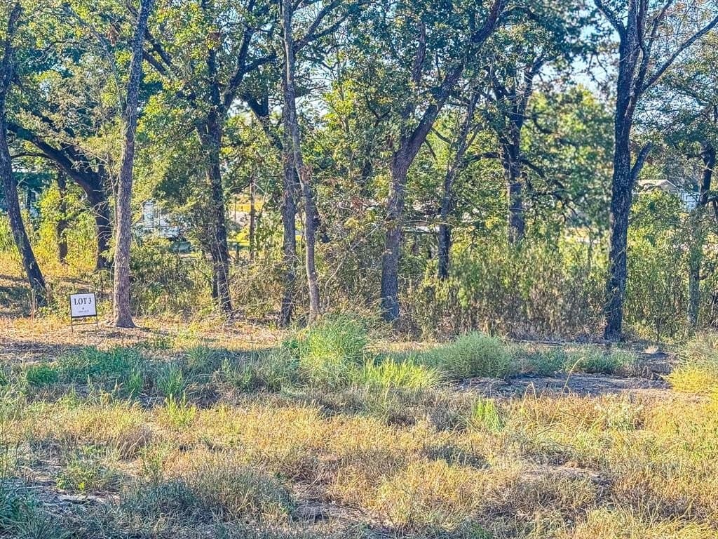 1.21 acres in Navarro County - photo 20