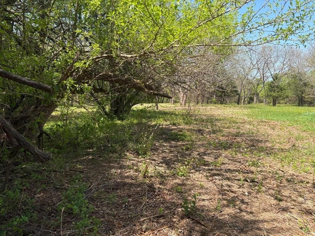 3.69 acres in Grayson County - photo 16