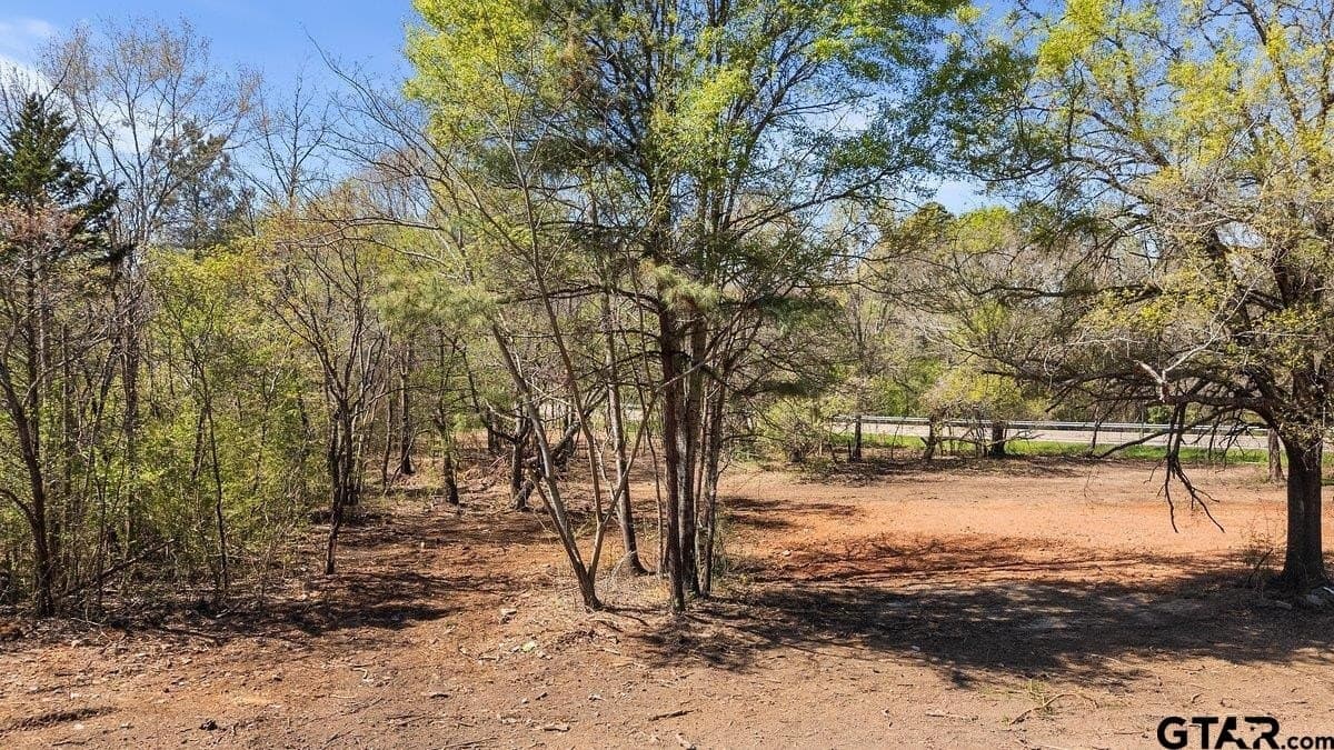 1 acres in Smith County - photo 4