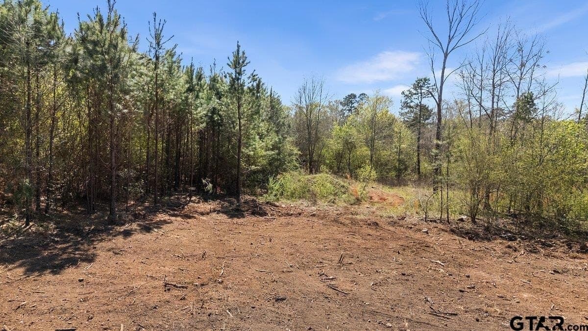 1 acres in Smith County - photo 5