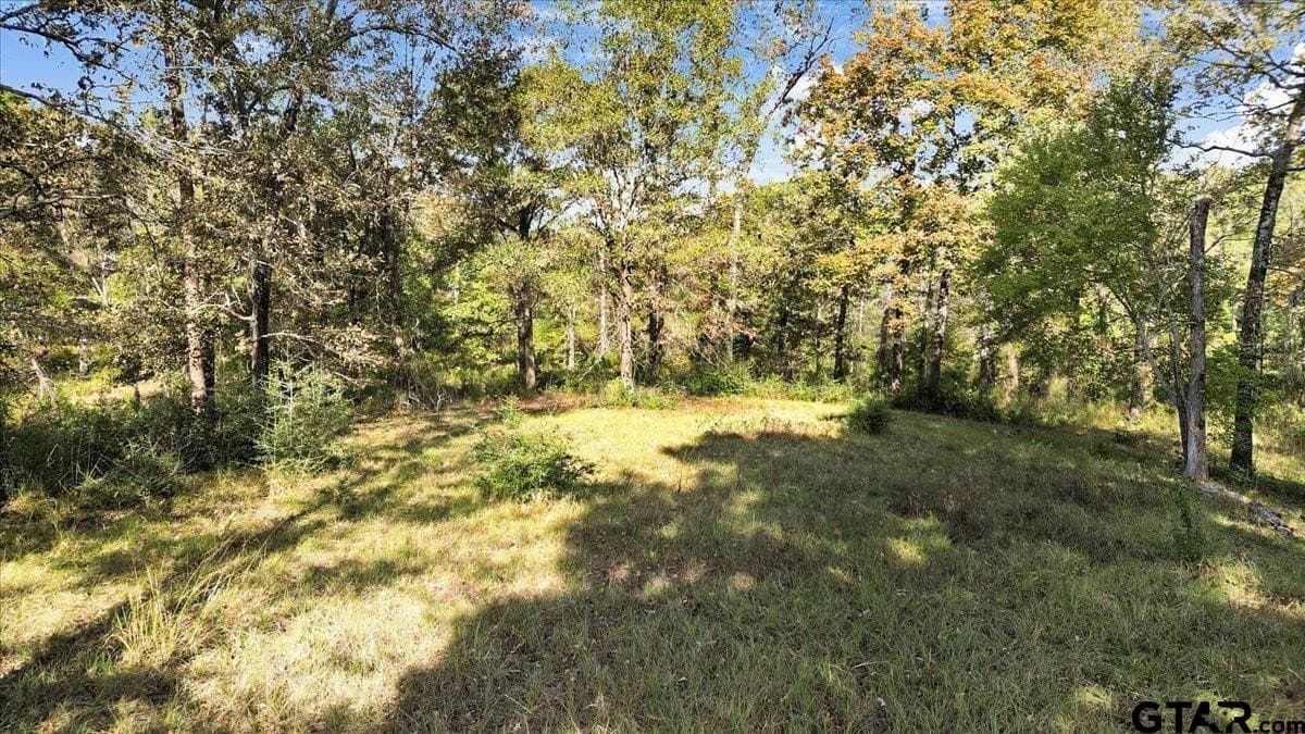 5.02 acres in Upshur County - photo 6