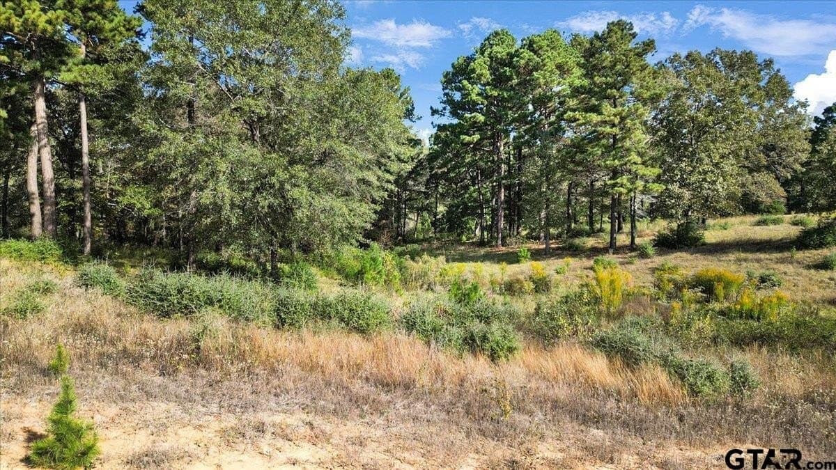 5.02 acres in Upshur County - photo 4