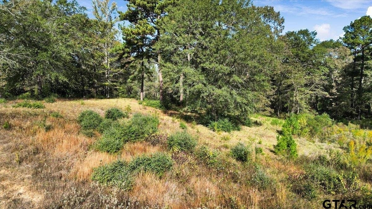 5.02 acres in Upshur County - photo 3