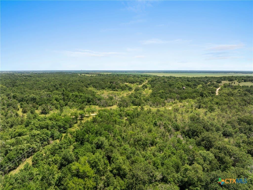 54 acres in Milam County - photo 7
