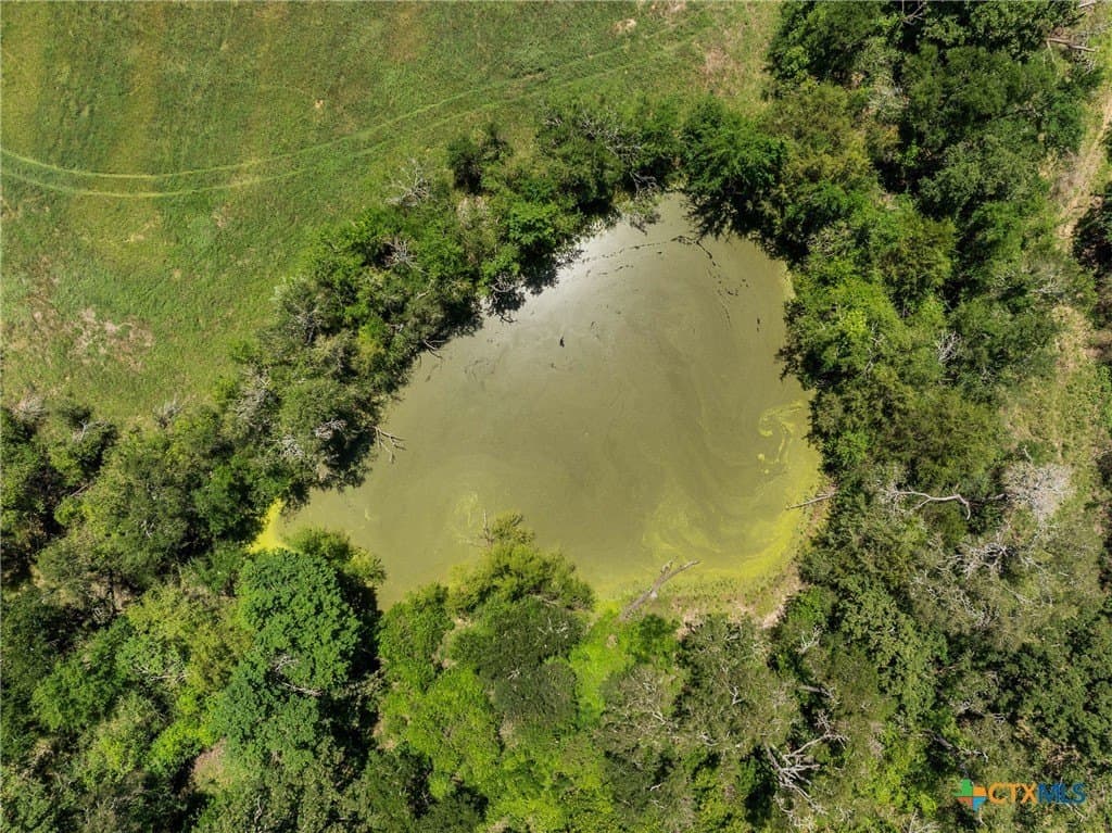 54 acres in Milam County - photo 5