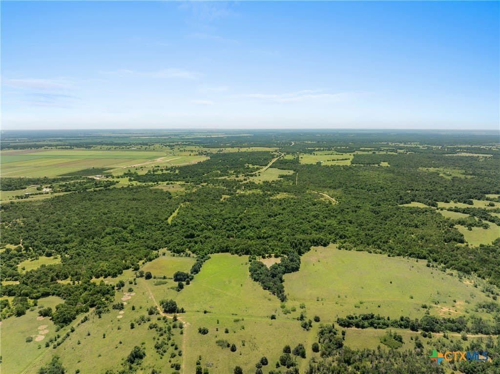 54 acres in Milam County - photo 13