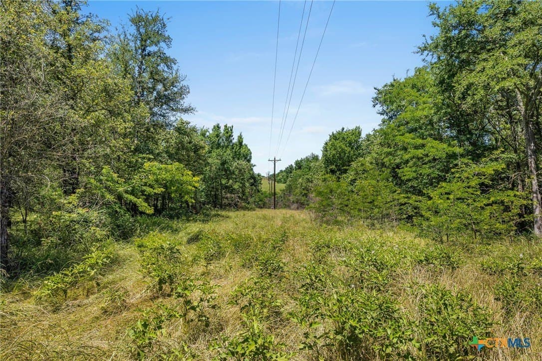 54 acres in Milam County - photo 16