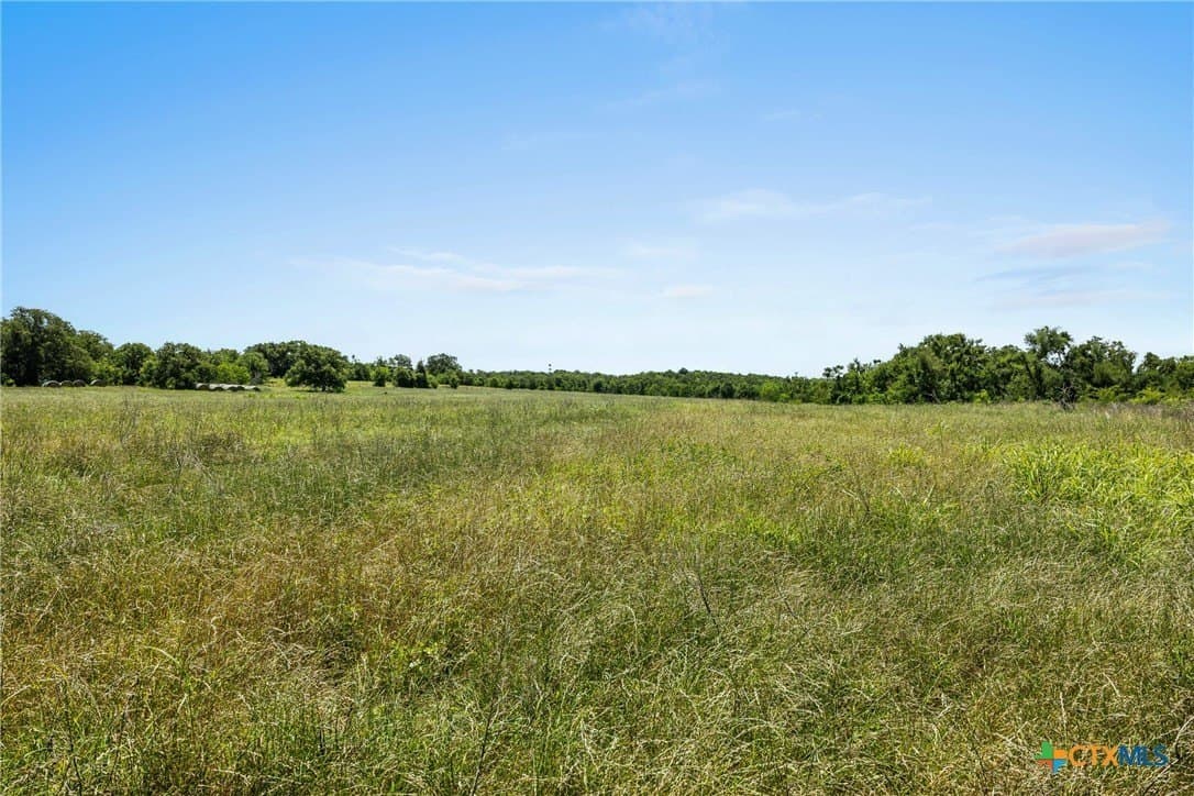 54 acres in Milam County - photo 17