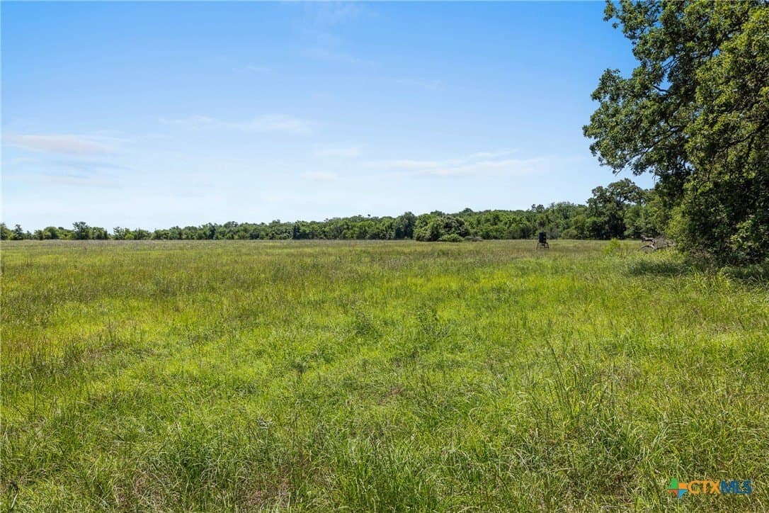 54 acres in Milam County - photo 18