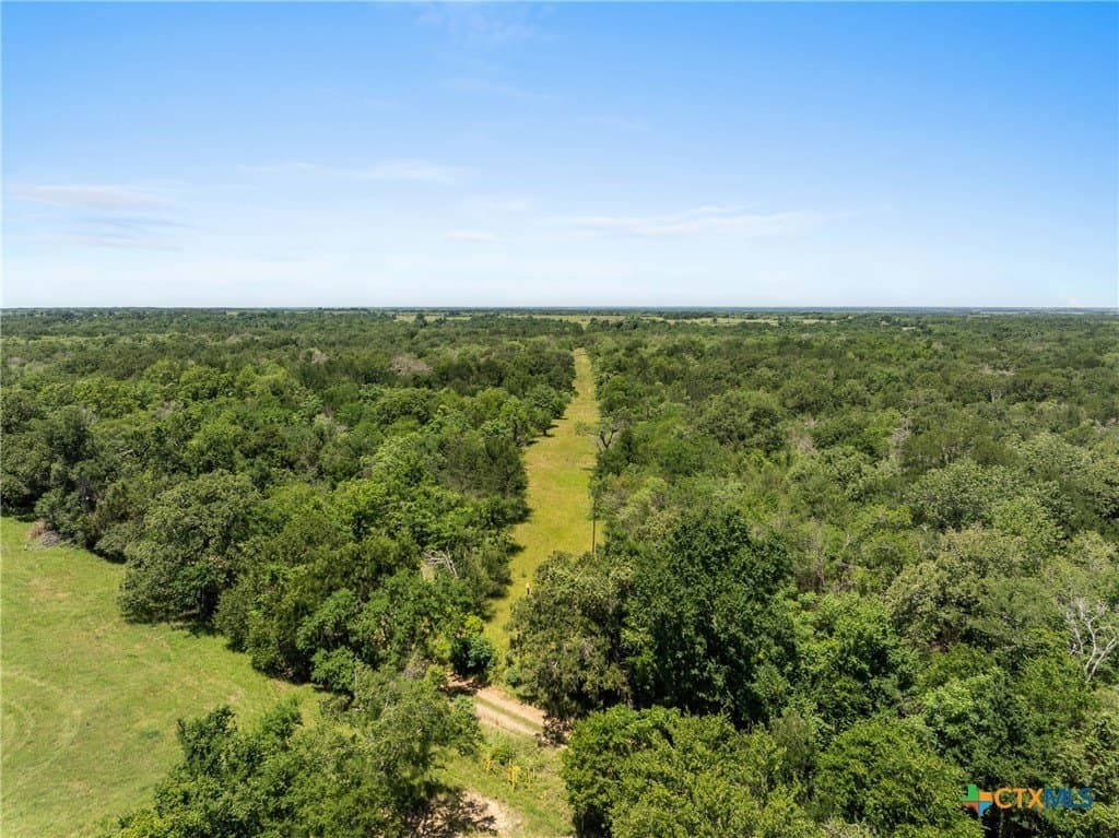 54 acres in Milam County - photo 12