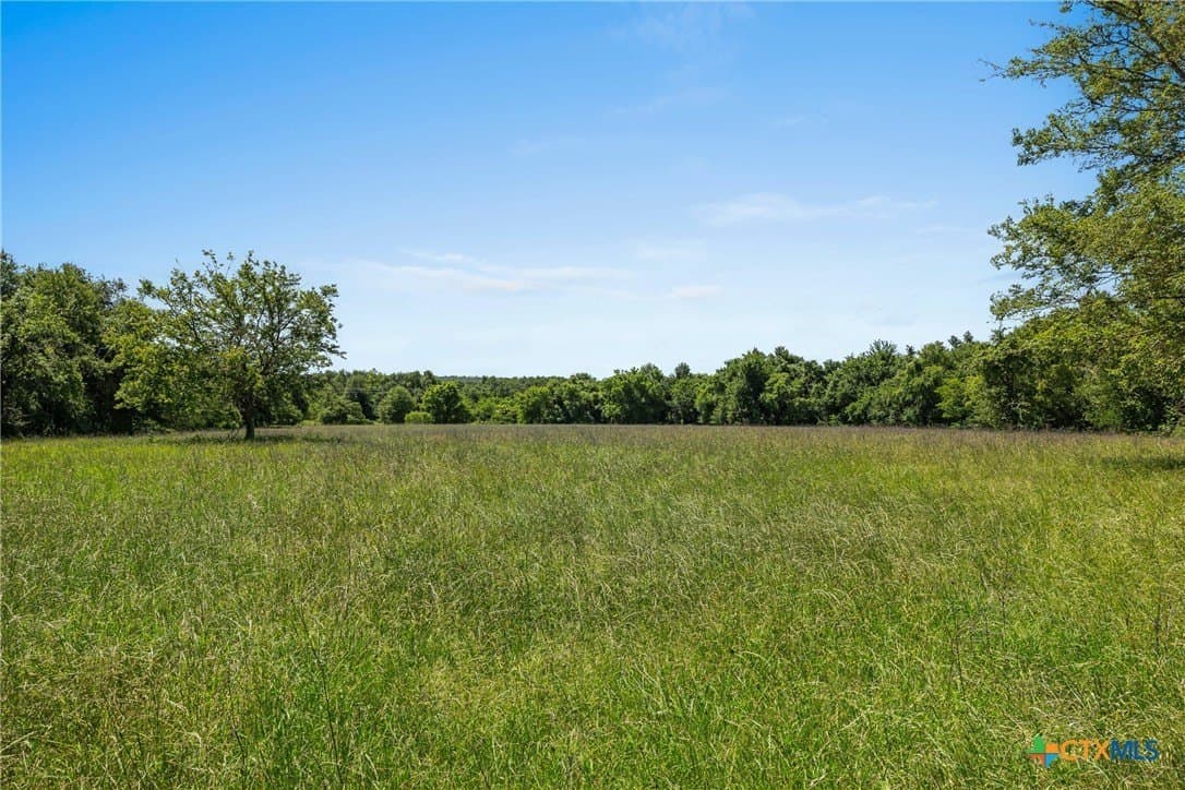 54 acres in Milam County - photo 15