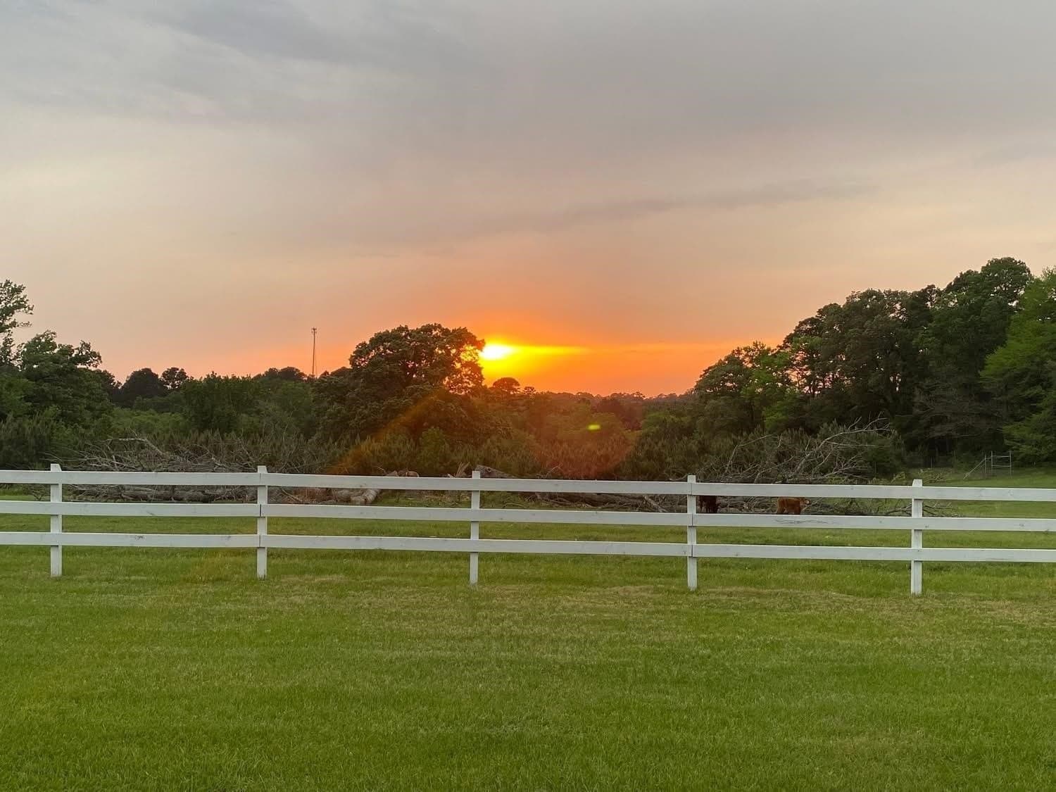 12 acres in Upshur County - photo 39