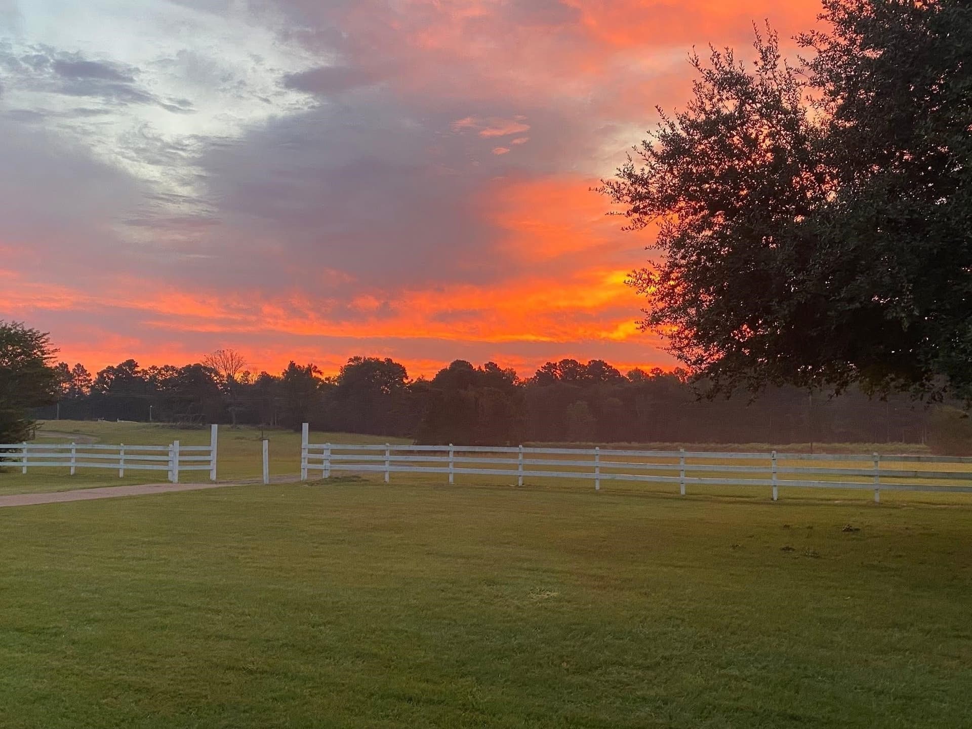 12 acres in Upshur County - photo 42