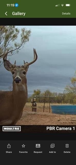 53.6 acres in Scurry County - photo 8